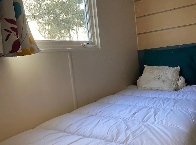 Kemp Coeur De Vendee *